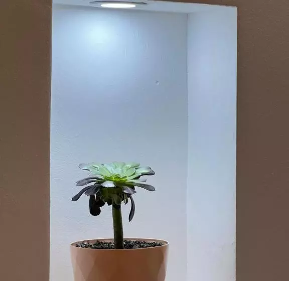 Arteg Apartments   Superior