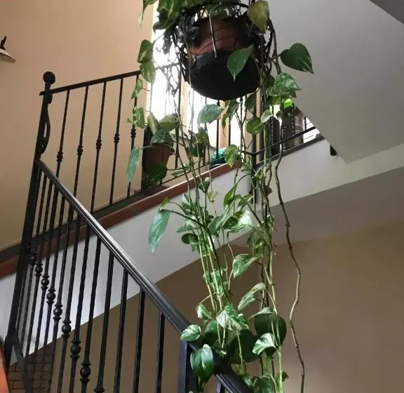 B&b La Magnolia