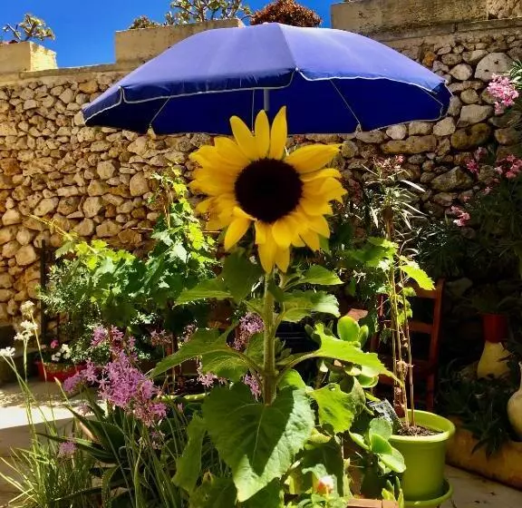Botanica B&b
