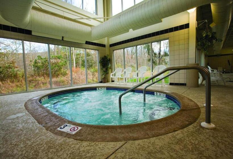 Отель Pocono Villas Resort