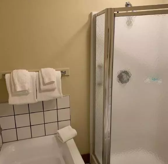 ホテル Pocono Villas Resort