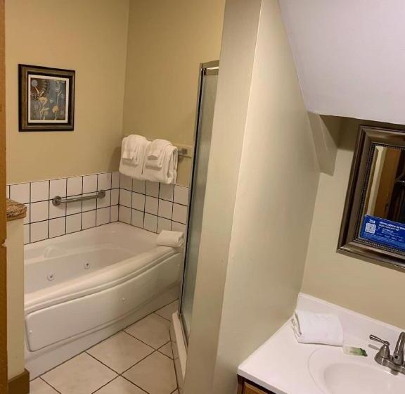 Отель Pocono Villas Resort