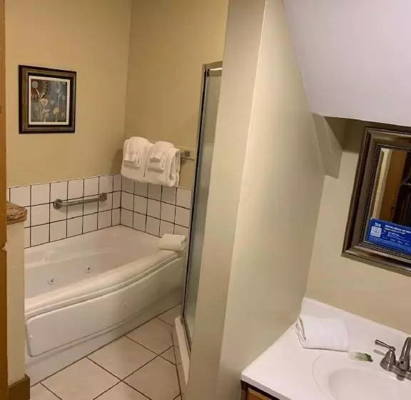 ホテル Pocono Villas Resort