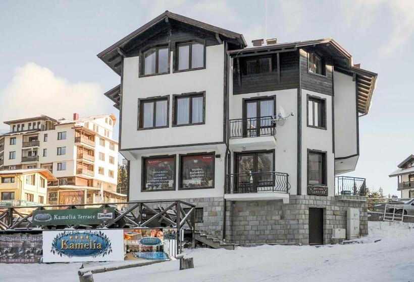 Pensjonat стаи за гости в къща камелия