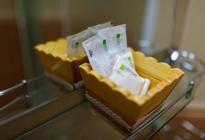 膳宿费 Casa Dacică