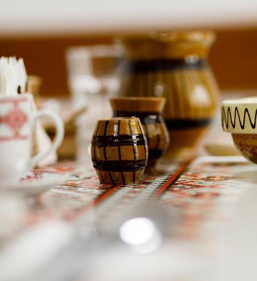 膳宿费 Casa Dacică