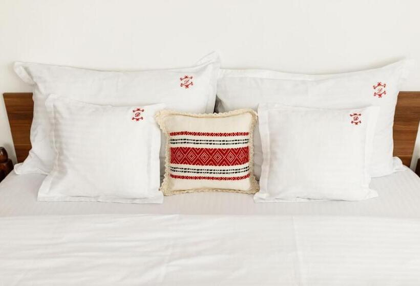 膳宿费 Casa Dacică