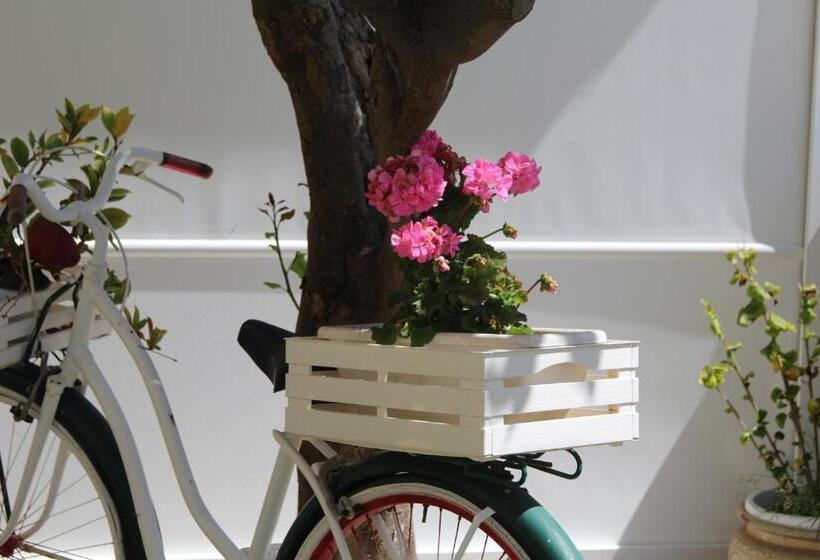 پانسیون Don Francisco Rooms   Tropea