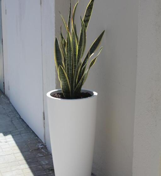 پانسیون Don Francisco Rooms   Tropea