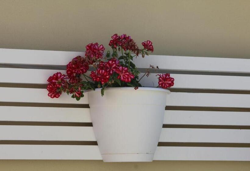 پانسیون Don Francisco Rooms   Tropea