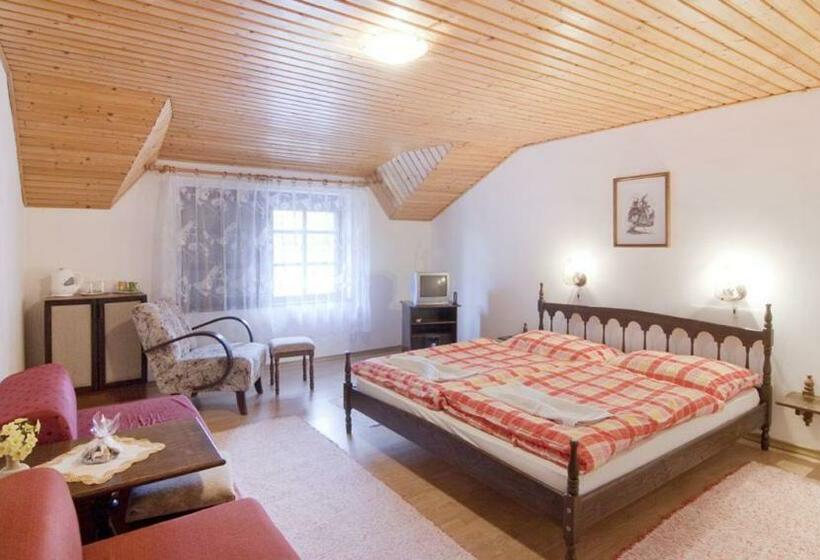 פנסיון Penzión Spišský Dvor