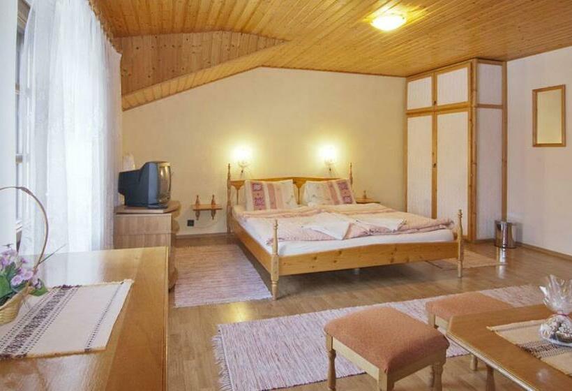 פנסיון Penzión Spišský Dvor