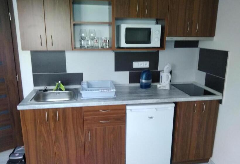 펜션 Vinotéka U Kozů