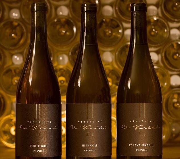 Apartmán Vinařství U Krčků