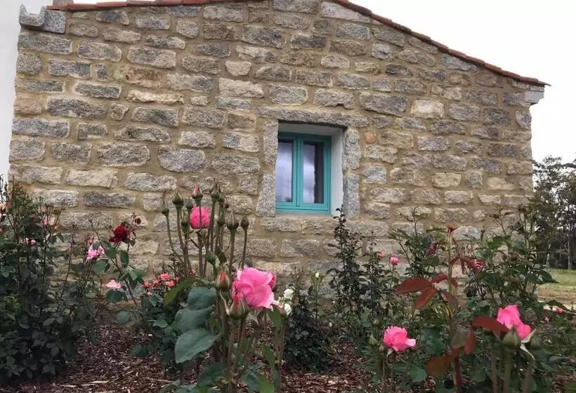 B&b Li Tauli