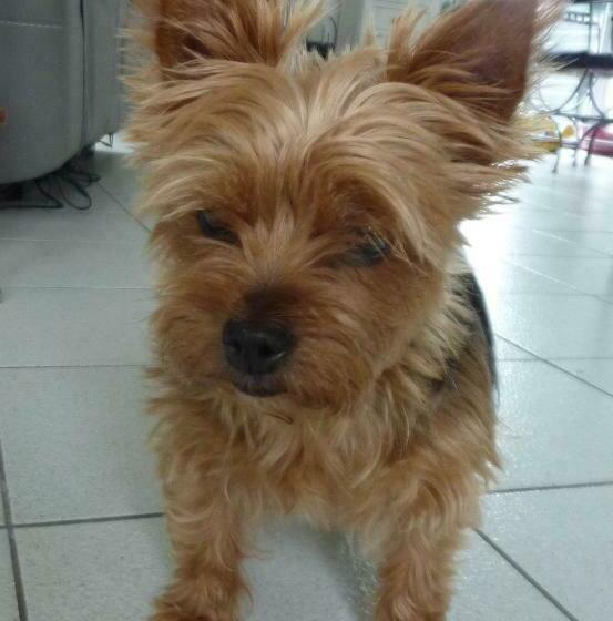 צימר Brest Chambres D Hôtes