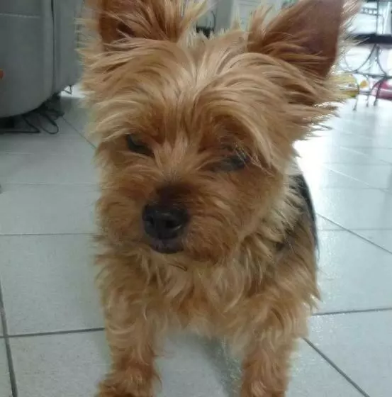 Aamiaismajoitus (B&B) Brest Chambres D Hôtes