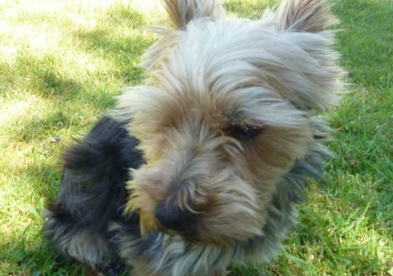 צימר Brest Chambres D Hôtes