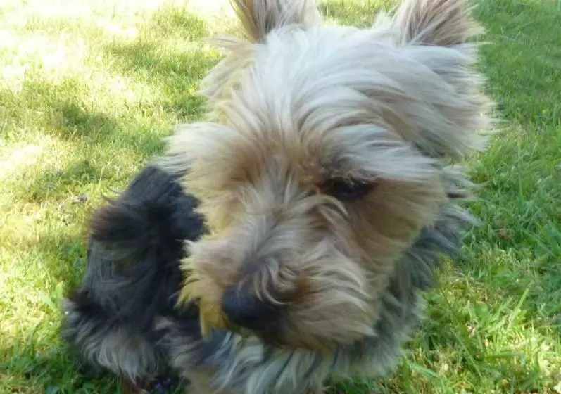 Aamiaismajoitus (B&B) Brest Chambres D Hôtes