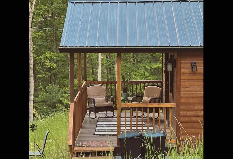 Dreamy Couples Cabin In The Shenandoah Forrest