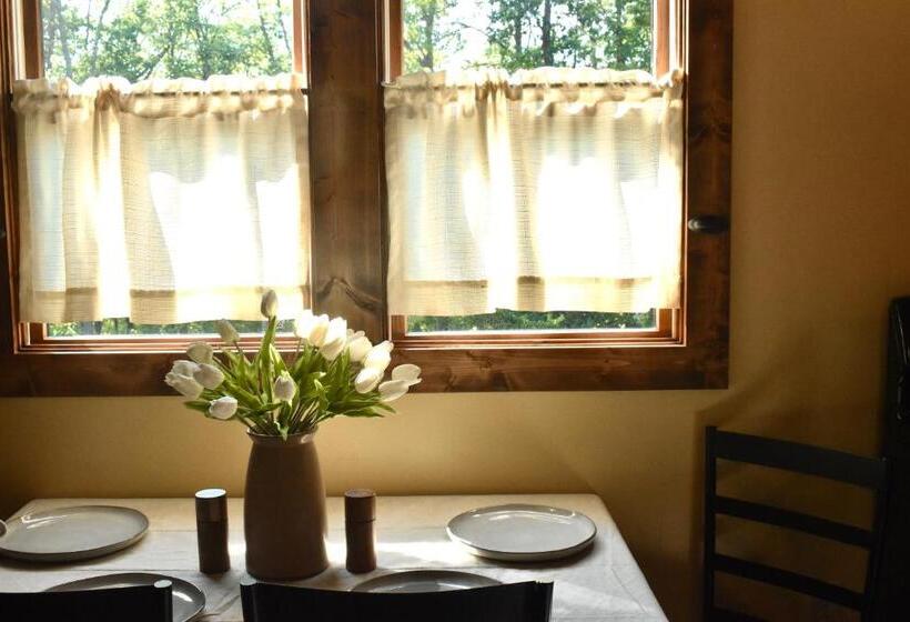 Dreamy Couples Cabin In The Shenandoah Forrest