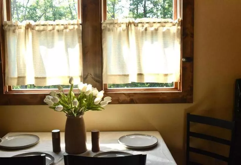 Dreamy Couples Cabin In The Shenandoah Forrest
