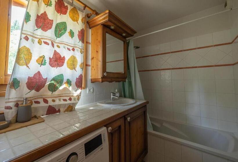 Morillon 1100 Skis Aux Pieds