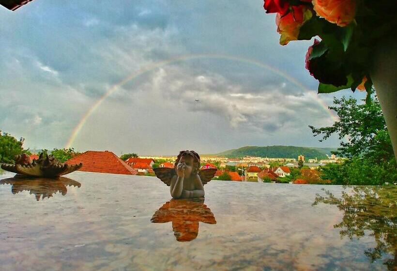 Пансион Casa Adam