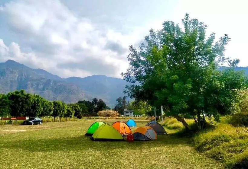 پانسیون Ekko Hostel