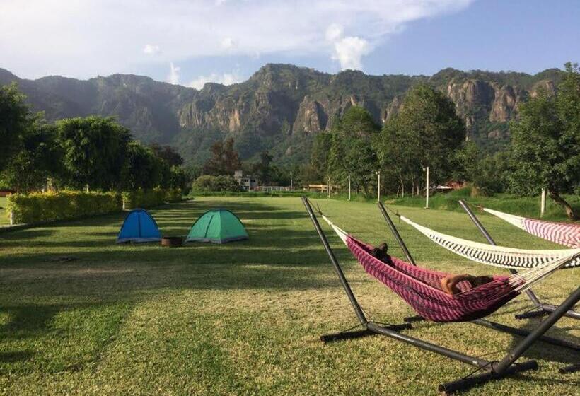 Pensione Ekko Hostel