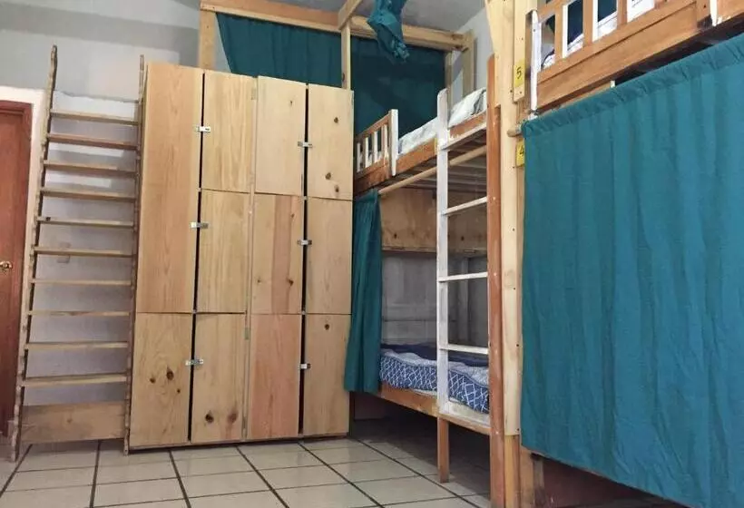 پانسیون Ekko Hostel