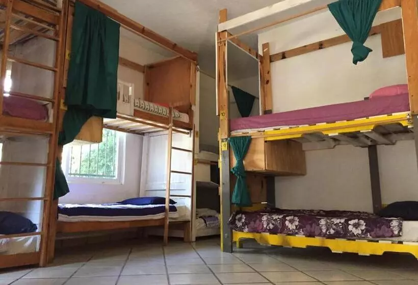 پانسیون Ekko Hostel