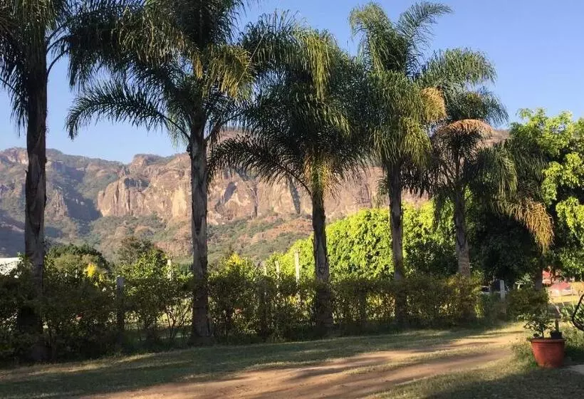 پانسیون Ekko Hostel