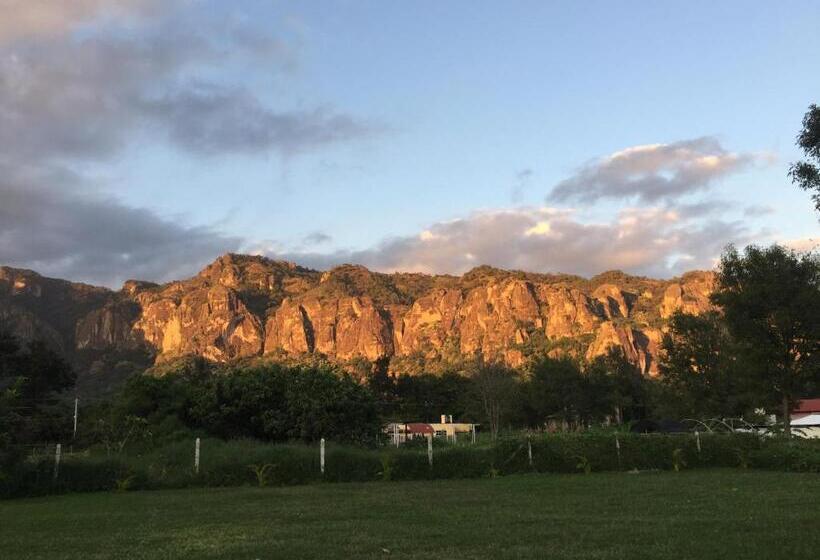 Pensione Ekko Hostel