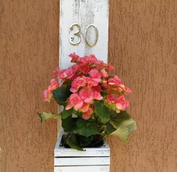 Majatalo Il Giardino Di Sara