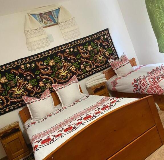 Pensiunea Ioana Mariana