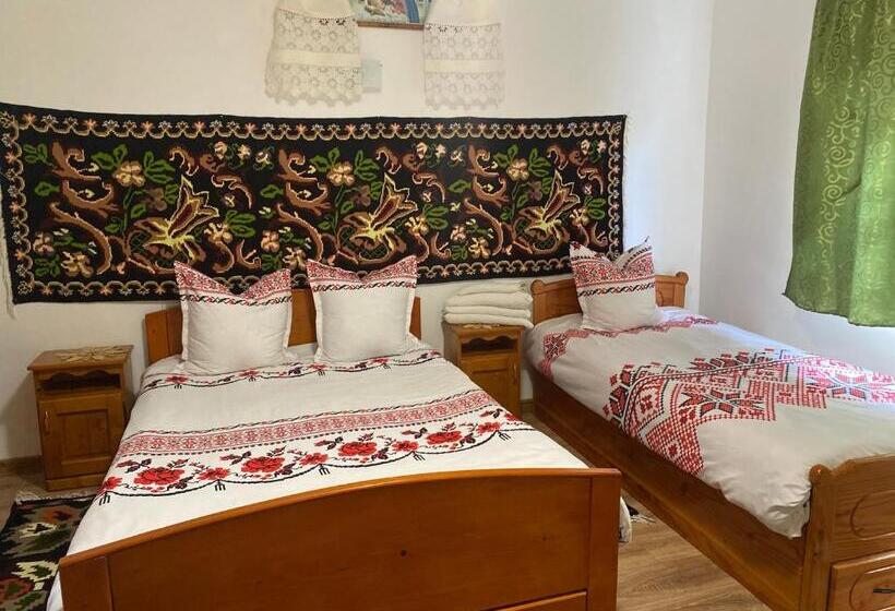 Pensiunea Ioana Mariana