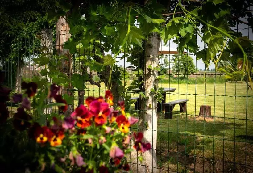 Suma Si Casa Cesare   2000 Mq Di Giardino A Vostra Disposizione