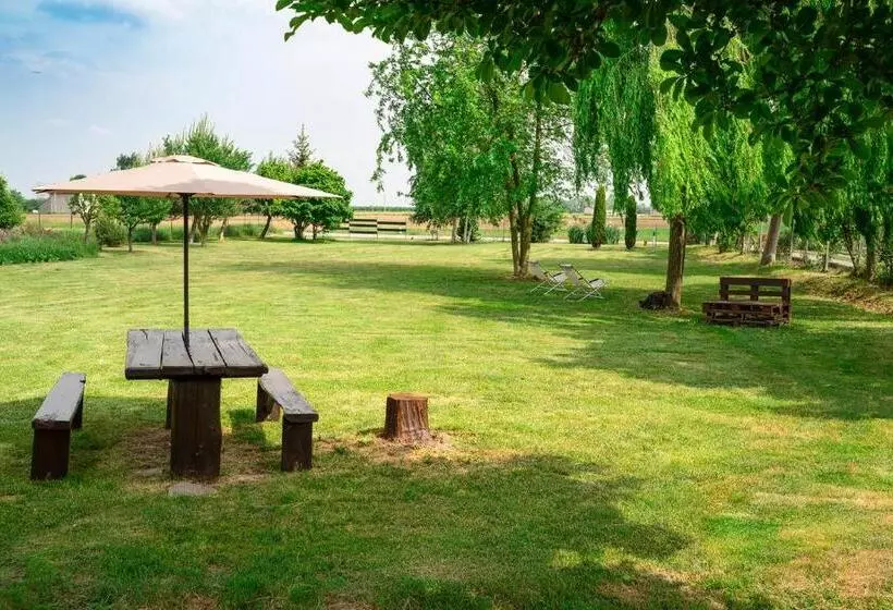 Suma Si Casa Cesare   2000 Mq Di Giardino A Vostra Disposizione