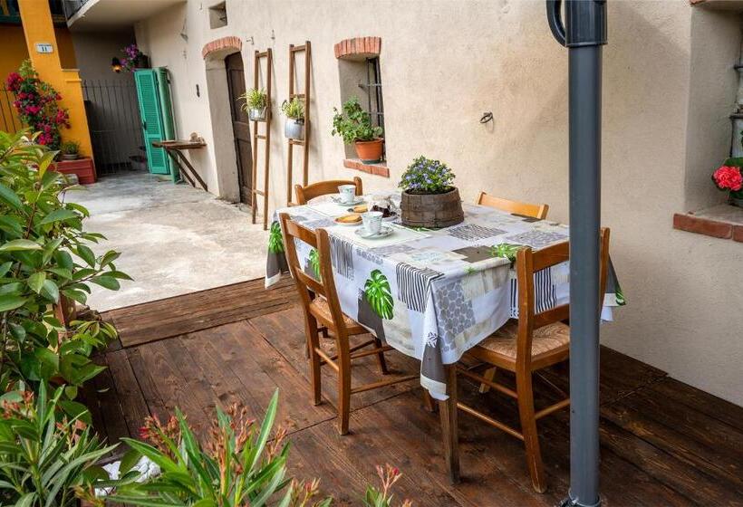 Suma Si Casa Cesare   2000 Mq Di Giardino A Vostra Disposizione