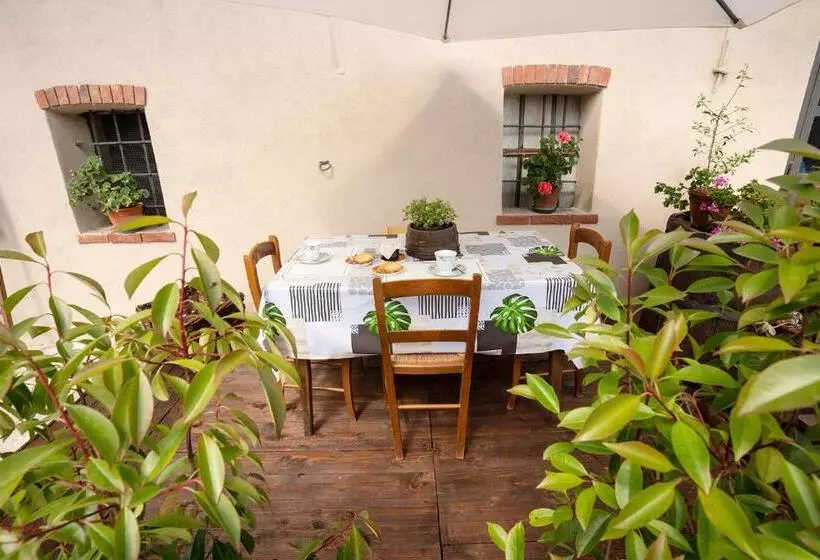 Suma Si Casa Cesare   2000 Mq Di Giardino A Vostra Disposizione