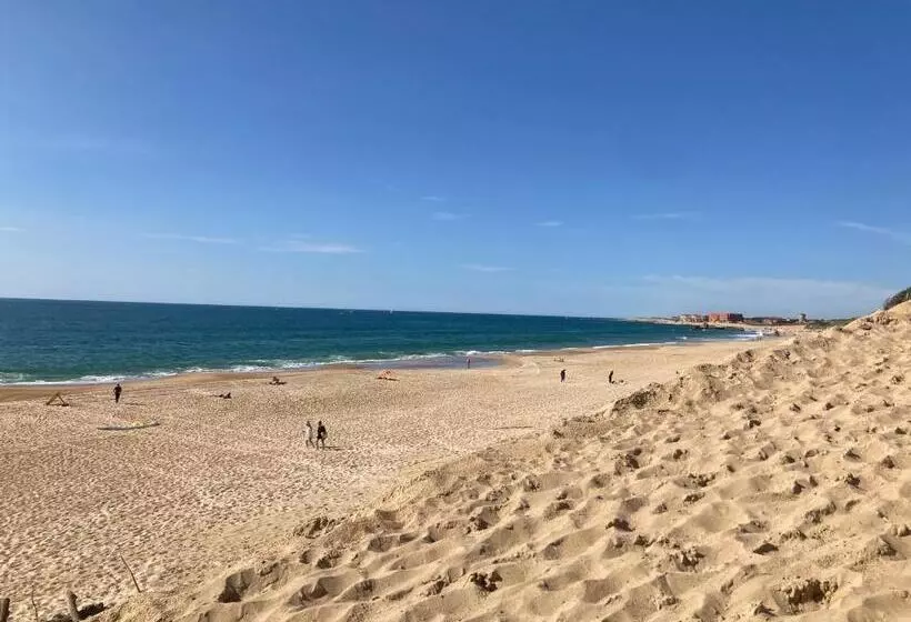 Superbe Duplex Proche Centre Et Plages