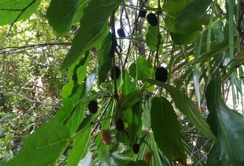 Sweet Apartment With Private Pool Lori Ankaran