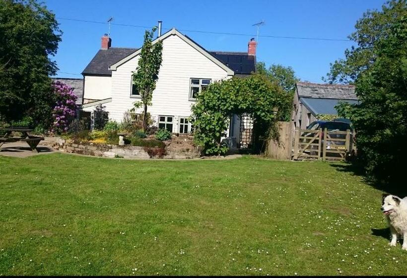 Bed and Breakfast Claw House