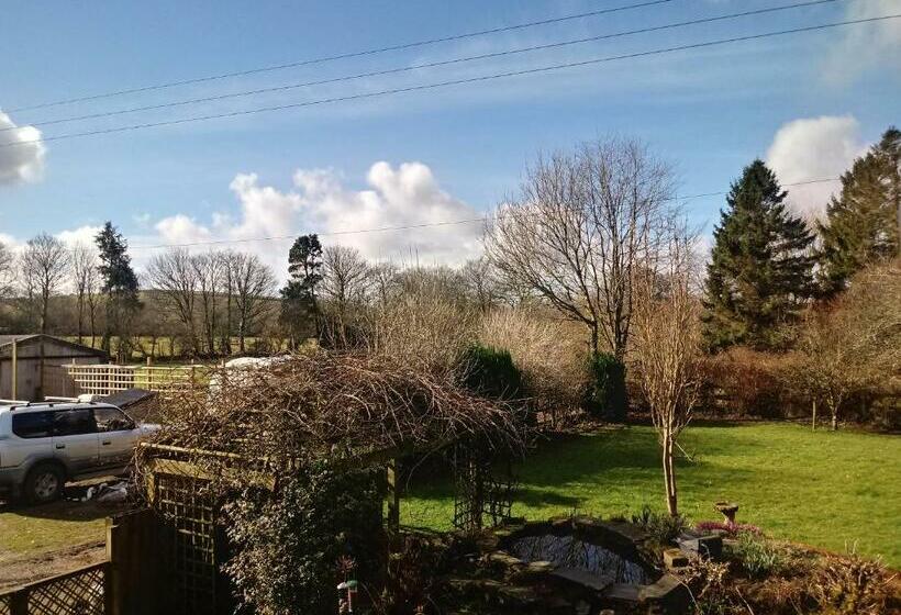 Bed and Breakfast Claw House