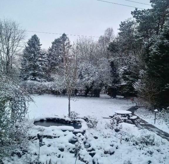 Bed and Breakfast Claw House