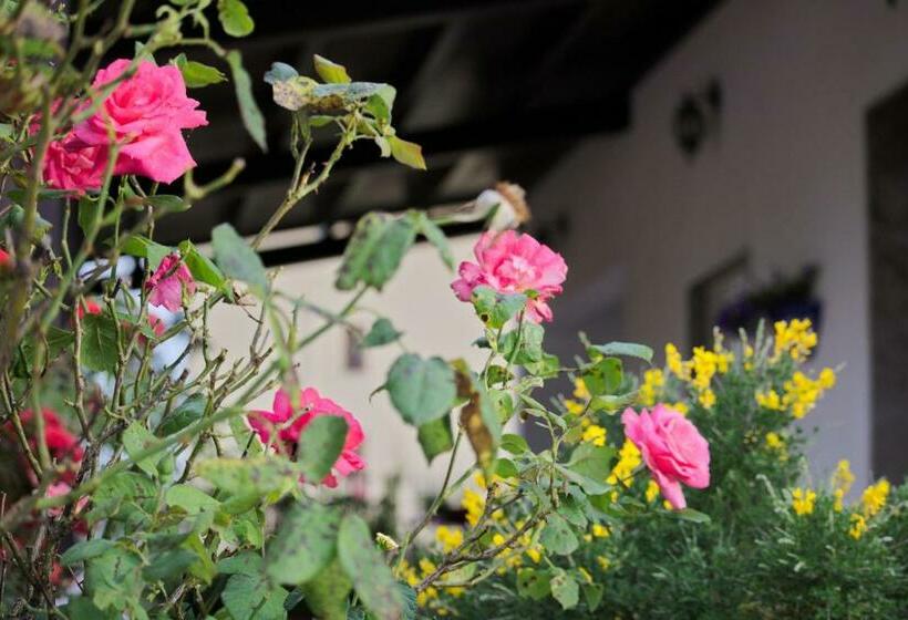 مبيت وإفطار La Casa Di Bia