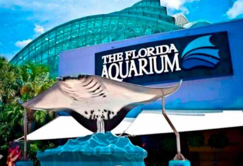 Busch Gardens Bliss Suite  1