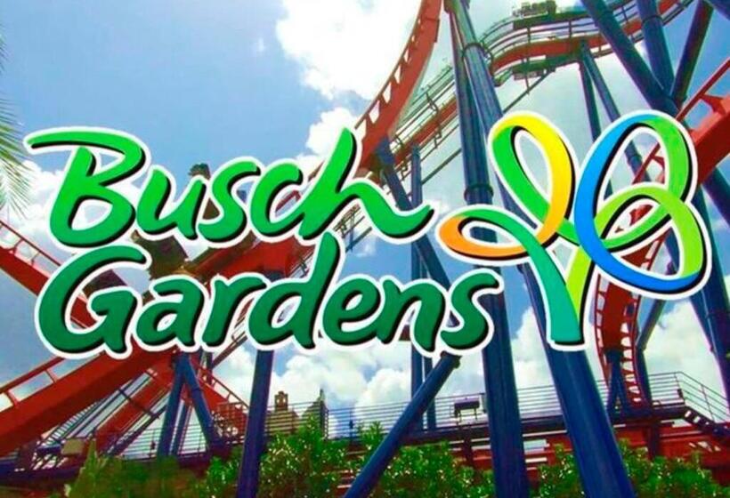 Busch Gardens Bliss Suite  1
