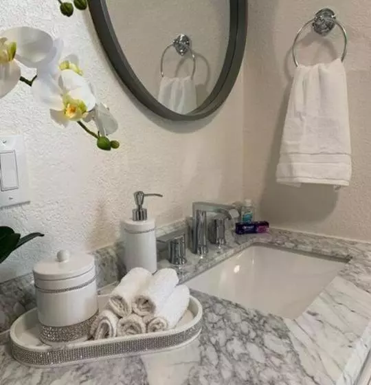 Busch Gardens Bliss Suite  1